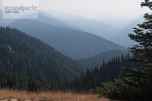 Berge  Olympia-Nationalpark  UNESCO-Weltkulturerbe  Bundesstaat Washington  Vereinigte Staaten von Amerika  Nordamerika