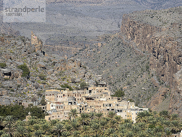 Dattelpalmen umgeben das alte Dorf Al Misfah  Sultanat Oman  Naher Osten