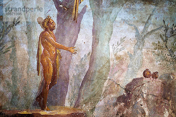 Der Sündengartensaal Römisches Fresko in der Villa Oplontis (Villa Oplontis)  Oplontis  UNESCO-Weltkulturerbe  Torre Annunziata  Kampanien  Italien  Europa