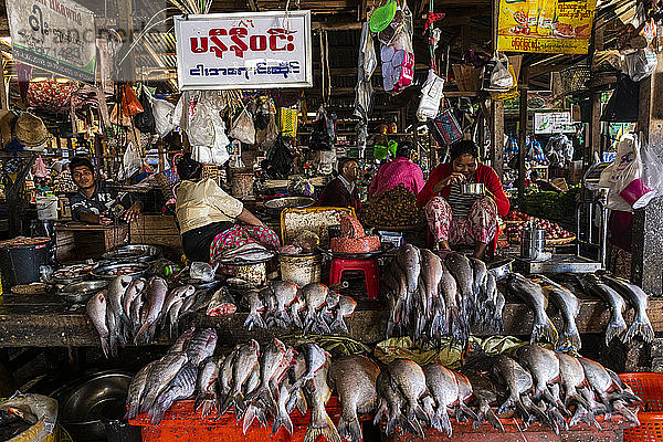 Fischmarkt  Myitkyina  Kachin-Staat  Myanmar (Burma)  Asien