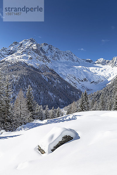 Winterlandschaft nach Schneefall mit Blick auf die Gruppe der Disgrazia  Chiareggio  Valmalenco  Valtellina  Lombardei  Italien  Europa