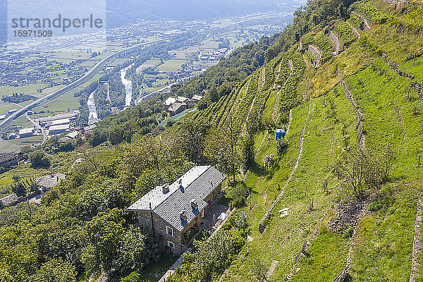 Bauernhöfe auf Hügeln mit terrassierten Weinbergen  Costiera dei Cech  Veltlin  Provinz Sondrio  Lombardei  Italien  Europa