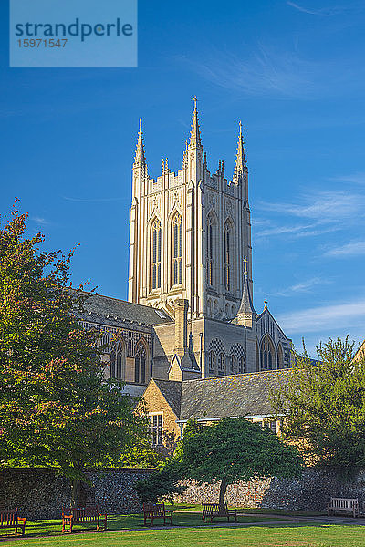 St. Edmundsbury Cathedral aus den Abbey Gardens  Bury St. Edmunds  Suffolk  England  Vereinigtes Königreich  Europa