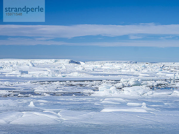 Meereishöcker und -schollen in Erebus und Terror-Golf  Weddellmeer  Antarktis  Polarregionen