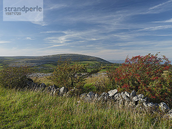 Cappanawalla  The Burren  Grafschaft Clare  Munster  Republik Irland  Europa