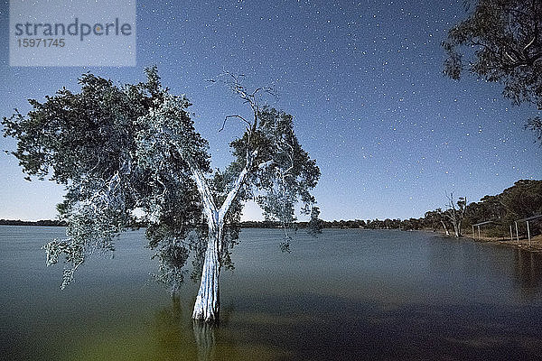Lake Towerrinning  bei Darkan  Westaustralien  Australien  Pazifik