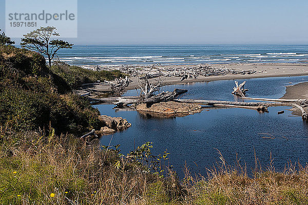 Pazifikküstenstrand mit Treibholz  Olympischer Nationalpark  UNESCO-Weltkulturerbe  Bundesstaat Washington  Vereinigte Staaten von Amerika  Nordamerika