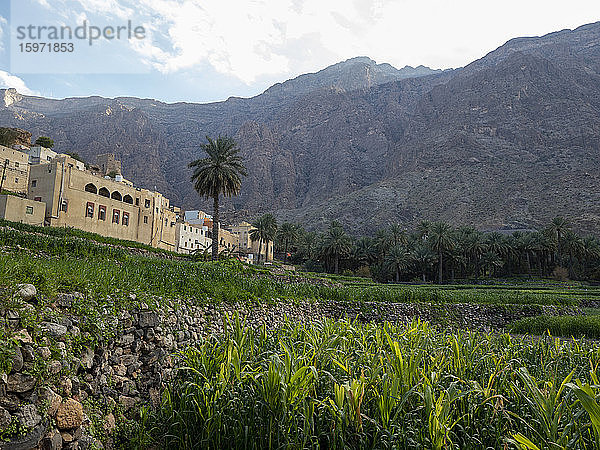 Bilad Sayt  ein Bergdorf im Al-Hajar-Gebirge  Sultanat Oman  Naher Osten