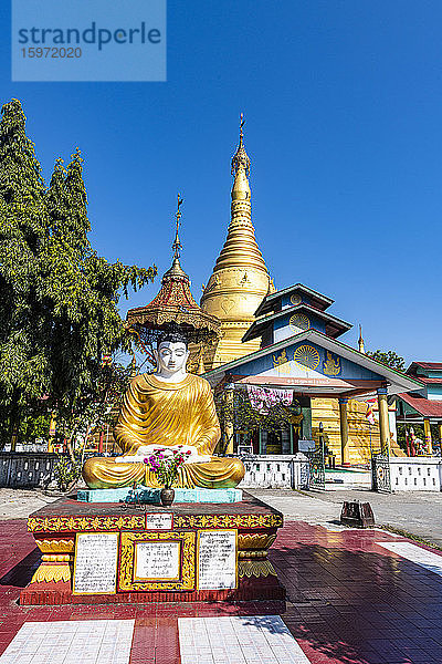 Buddha vor der Goldenen Stupa  Aung Zay Yan Aung Pagode  Myitkyina  Kachin-Staat  Myanmar (Burma)  Asien