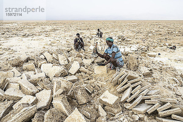 Hart arbeitende Bergleute in der Salzfläche  Danakil-Depression  Afar-Region  Äthiopien  Afrika