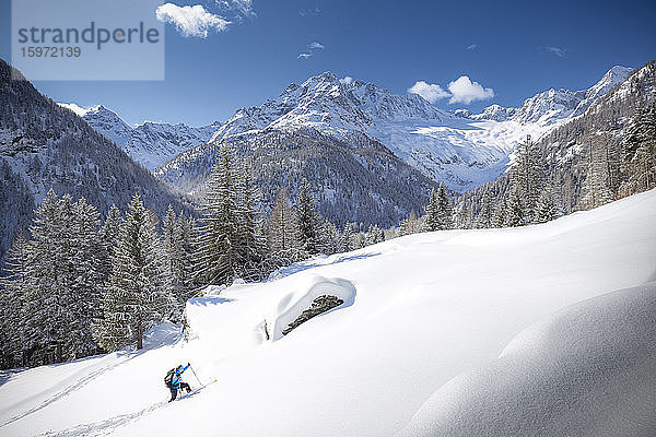 Junger Skifahrer im Neuschnee auf dem Vormarsch  Chiareggio  Valmalenco  Valtellina  Lombardei  Italien  Europa