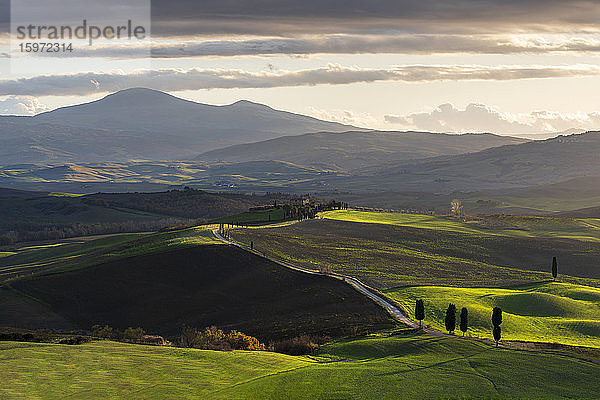 Hügelige Landschaft mit Bauernhaus  Toskana  Italien  Europa