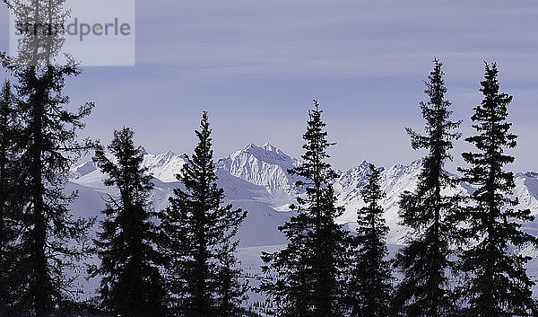 Die schneebedeckten Bergketten des Denali-Nationalparks im Winter  Alaska  Vereinigte Staaten von Amerika  Nordamerika