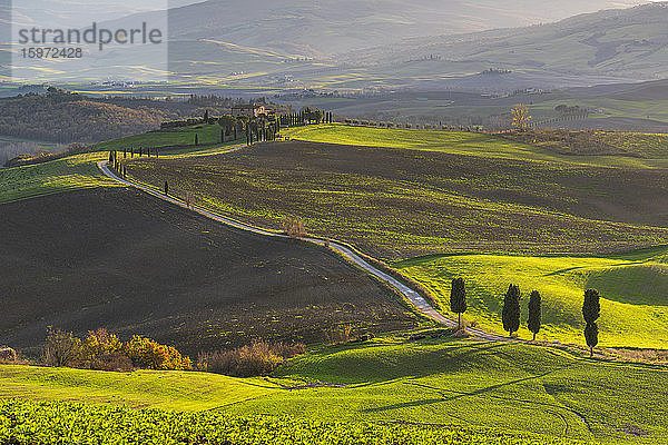 Hügelige Landschaft mit Bauernhaus  Toskana  Italien  Europa