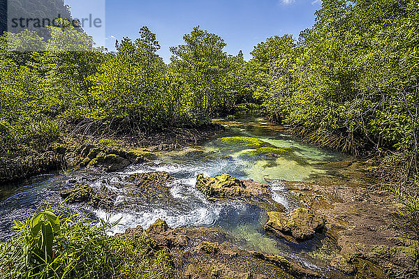 Tha Pom Klong Song Nam-Nationalpark  Provinz Krabi  Thailand  Südostasien  Asien