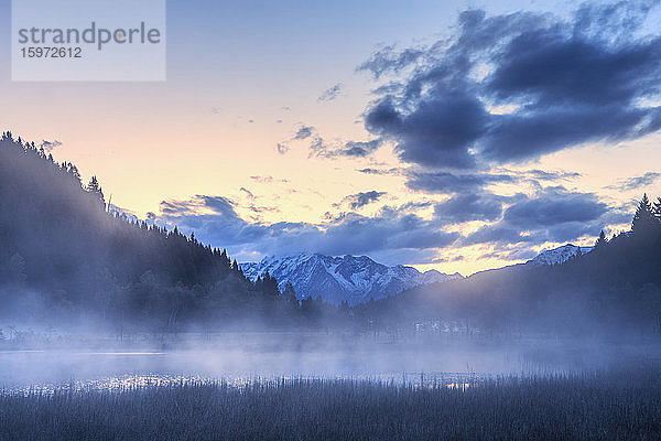 Nebliger Sonnenaufgang am Teich im Naturschutzgebiet Pian di Gembro  Pian di Gembro  Veltlin  Lombardei  Italien  Europa