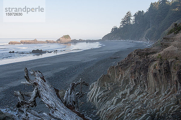 Strand an der Pazifikküste  Olympia-Nationalpark  UNESCO-Weltkulturerbe  Bundesstaat Washington  Vereinigte Staaten von Amerika  Nordamerika