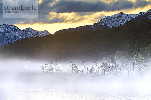 Nebliger Sonnenaufgang am Teich im Naturschutzgebiet Pian di Gembro  Pian di Gembro  Veltlin  Lombardei  Italien  Europa