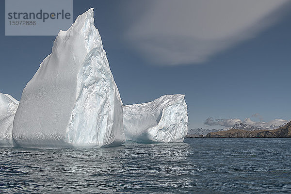 Ozeanhafen  schwimmende Eisberge  Insel Südgeorgien  Antarktis  Polargebiete