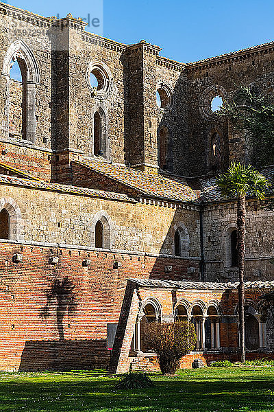 Palmengesäumte Fassade der dachlosen gotischen Zisterzienserabtei San Galzano aus dem 13. Jahrhundert  Chiusdino  Toskana  Italien  Europa
