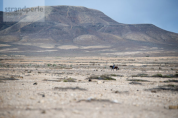 Reiten  Strand El Cotillo  Fuerteventura  Kanarische Inseln  Spanien  Atlantik  Europa