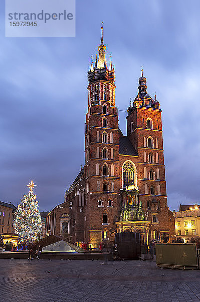Marienbasilika bei Nacht mit Weihnachtsbaum  Marktplatz  UNESCO-Weltkulturerbe  Krakau  Polen  Europa