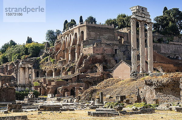 Kastor- und Polluxtempel  dahinter der Palatinhügel  Römisches Forum  UNESCO-Weltkulturerbe  Rom  Latium  Italien  Europa
