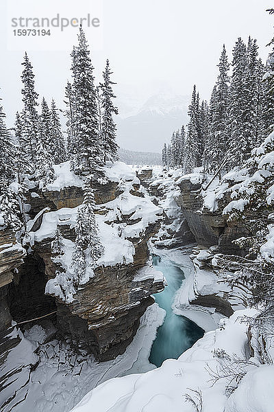 Teilweise gefrorene Athabasca-Wasserfälle im mittleren Winter  Banff-Nationalpark  UNESCO-Weltkulturerbe  Alberta  Kanada  Nordamerika