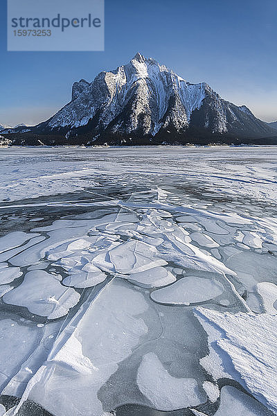 Abraham-See gefroren mit Mount Michener  Alberta  Kanada  Nordamerika