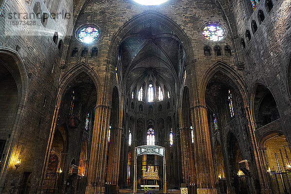 Kathedrale der Heiligen Maria von Girona  Girona  Katalonien  Spanien  Europa