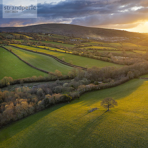 Luftaufnahme durch Dröhnen einer hügeligen Landschaft in der Abendsonne  Devon  England  Vereinigtes Königreich  Europa