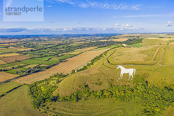 Luftaufnahme des berühmten Weißen Pferdes unter dem Bratton Camp  einem eisenzeitlichen Hügelfort in der Nähe von Westbury  Wiltshire  England  Vereinigtes Königreich  Europa