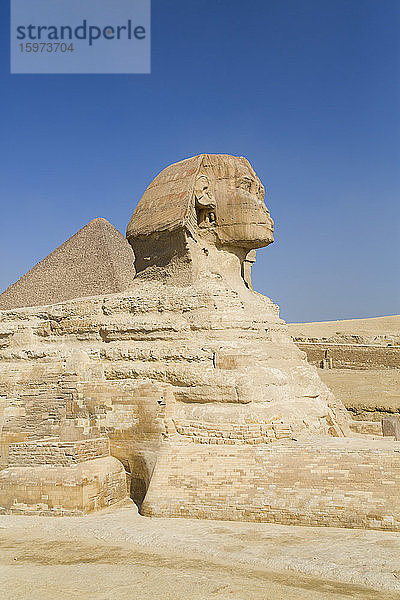 Die Große Sphinx von Gizeh  UNESCO-Weltkulturerbe  Gizeh  Ägypten  Nordafrika  Afrika