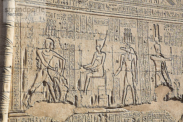 Basrelief  Aussenmauer  Khnum-Tempel  Esna  Ägypten  Nordafrika  Afrika