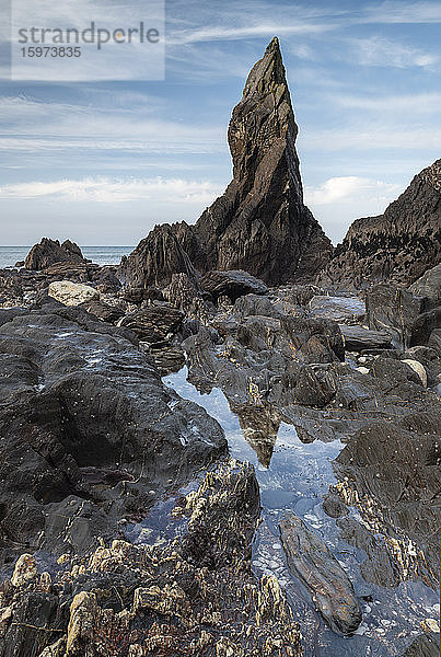 Seestapel an der zerklüfteten Küste von South Hams in der Nähe von Hope Cove  Devon  England  Vereinigtes Königreich  Europa