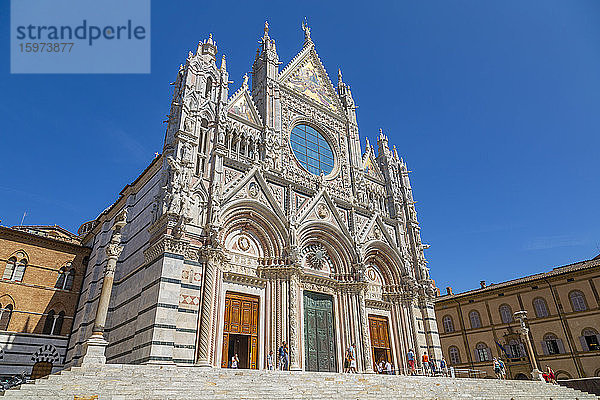Ansicht der Kathedrale von Siena (Dom)  UNESCO-Weltkulturerbe  Siena  Toskana  Italien  Europa