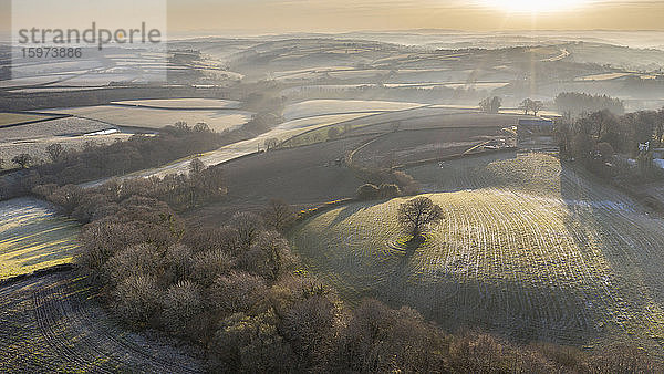 Luftaufnahme des Dröhnens einer frostigen  hügeligen Landschaft in der Morgendämmerung des Frühlings  Devon  England  Vereinigtes Königreich  Europa