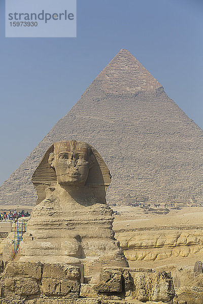 Die Große Sphinx von Gizeh  im Hintergrund die Chephren-Pyramide  Große Pyramiden von Gizeh  UNESCO-Weltkulturerbe  Gizeh  Ägypten  Nordafrika  Afrika