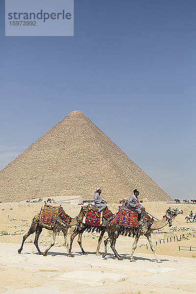 Einheimische Männer auf Kamelen  im Hintergrund die Cheops-Pyramide  die Großen Pyramiden von Gizeh  UNESCO-Weltkulturerbe  Gizeh  Ägypten  Nordafrika  Afrika