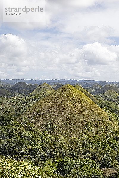 Chocolate Hills  Bohol Island  Central Visayas  Philippinen  Asien