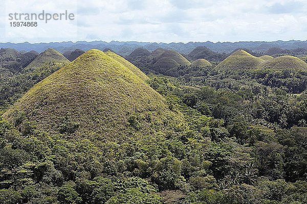 Chocolate Hills  Bohol Island  Central Visayas  Philippinen  Asien