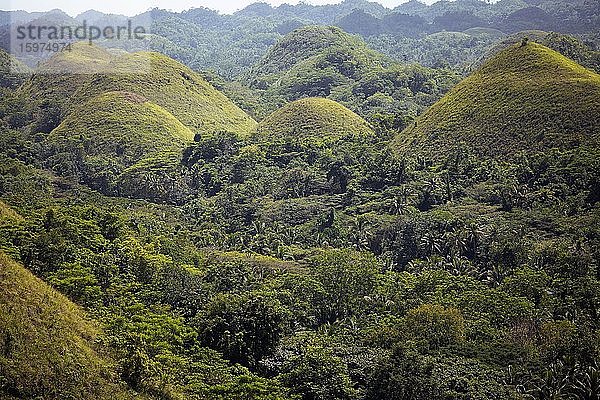 Chocolate Hills  Bohol Island  Central Visayas  Philippinen  Asien