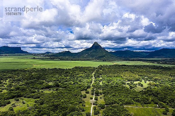 Luftaufnahme  der Berg Trois Mamelles mit Zuckerrohfeldern  Mauritius  Afrika