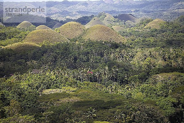 Chocolate Hills mit Wohnhaus  Bohol Island  Central Visayas  Philippinen  Asien