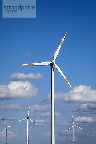 Windräder im Windpark  Bedburg  Nordrhein-Westfalen  Deutschland  Europa