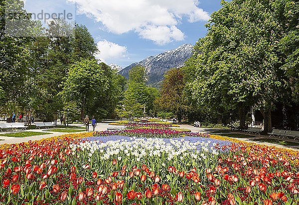 Kurpark Bad Reichenhall  Bad Reichenhall  Berchtesgadner Land  Oberbayern  Bayern  Deutschland  Europa