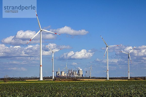 Windraeder im Windpark vor RWE Kraftwerk Neurath am Tagebau Garzweiler  Grevenbroich  Nordrhein-Westfalen  Deutschland  Europa