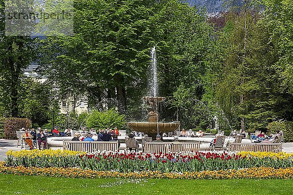 Alpen Solespringbrunnen im Kurpark Bad Reichenhall  Bad Reichenhall  Berchtesgadner Land  Oberbayern  Bayern  Deutschland  Europa