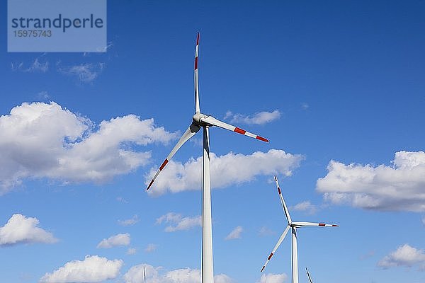 Windräder im Windpark  Bedburg  Nordrhein-Westfalen  Deutschland  Europa