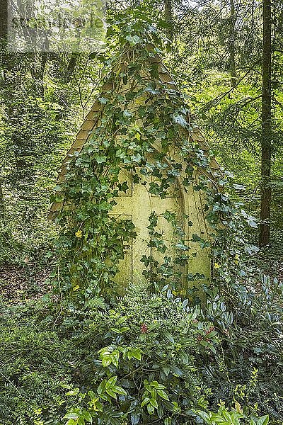 Grabstein mit Efeu (Hedera helix) überwachsen  Waldfriedhof  München  Oberbayern  Bayern  Deutschland  Europa